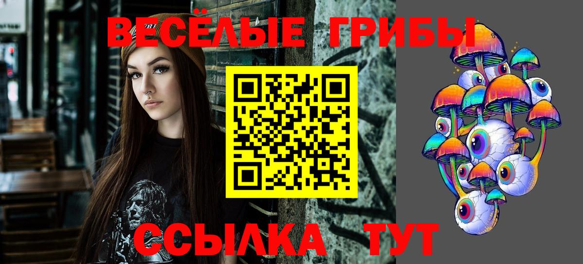 Галлюциногенные грибы Psilocybine cubensis  Галлюциногенные грибы мицелий  Вход с VPN  Топки 